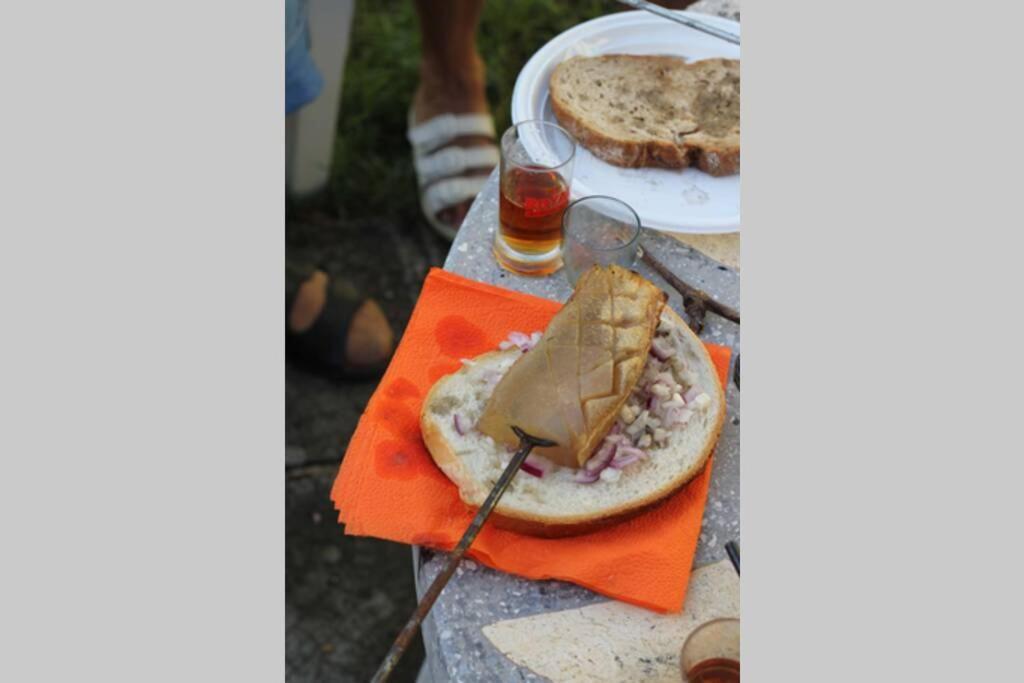 Balla Mama, Hajdúszoboszló Zewnętrze zdjęcie